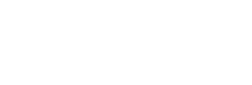ZaidiStudio logo